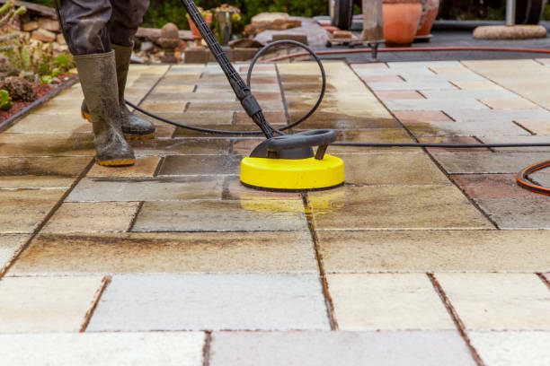 Best Animal Enclosure Cleaning  in Bay Pines, FL
